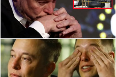 🚨 BREAKING: Elon Musk Expresses Shock Over Surge in Tesla Vandalism and Hostility—Claims Neither He Nor Tesla Have Done “Anything Harmful” 😱👇👇