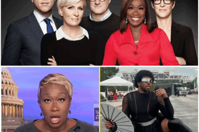 💥 EXCLUSIVE, EXPLOSIVE: MSNBC SHOCKS VIEWERS with New TV Star to Replace Joy Reid After Her Brutal Firing—The Surprising Truth Behind the Network’s Decision Revealed! What’s Next for MSNBC? Find Out Below 👇