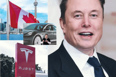 France makes bold decision to shut down Tesla and the US auto industry – Elon Musk responds with a shocking message of only 8 words, revealing a hidden truth that shocks the world.