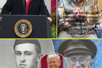 104-Year-Old Veteran Breaks the Internet With Heartfelt Birthday Message to Donald Trump—What He Said About the Former President Left Millions in Tears and Stirred Patriotism Across Social Media!