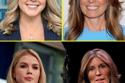 Fans are losing their minds after Karoline Leavitt reacted violently to veteran MSNBC host Nicolle Wallace, but when the reason was exposed, no one doubted it anymore.