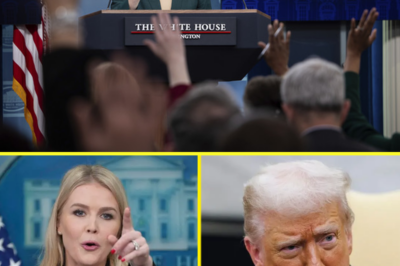 Karoline Leavitt Joins Trump’s Most Aggressive Plan Yet—White House Rocked by High-Profile Firings in Sudden Crackdown on Internal Leaks