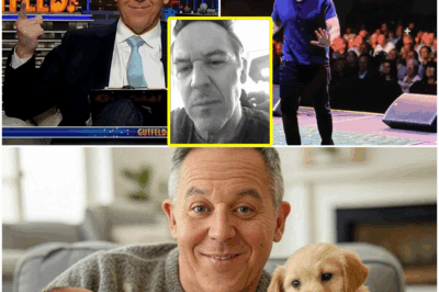 💥 EXCLUSIVE INSIGHT: Greg Gutfeld Opens Up About His Battle to Return to Fox News After Having a Baby at 60—What Really Happened Behind the Scenes? Get the Shocking Details Below 👇😱