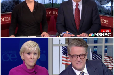 SHOCKING MOVE: Despite Struggling Ratings, Two Major MSNBC Stars Are Staying