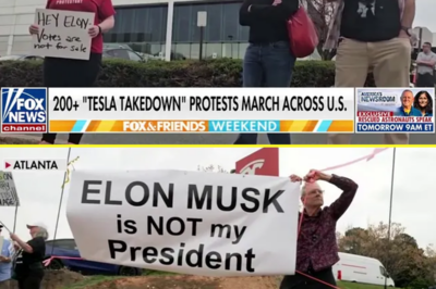 CHRISTOPHER RUFO: Tesla terror campaign is terrible and Trump needs to stop it