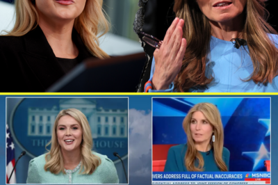BREAKING NEWS: Fans are losing their minds after Karoline Leavitt reacted violently to veteran MSNBC host Nicolle Wallace, but when the reason was exposed, no one doubted it anymore.
