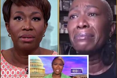 Joy Reid Breaks Her Silence After Getting FIRED from CNBC 😱
