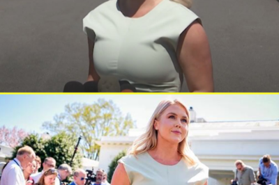 Karoline Leavitt’s Green Dress Causes Uproar During Press Briefing—Critics Slam the Fit, But Her Bold Response to the Backlash Has Even Her Harshest Haters Stunned Into Silence.