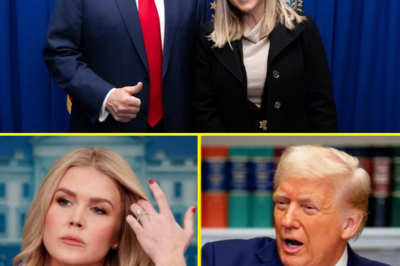 Karoline Leavitt Reveals Private Trump Conversation That Changed Everything—He Told Her She Was ‘Too Young,’ But Her Epic Response Proved Why She Might Be His Favorite Rising Star.