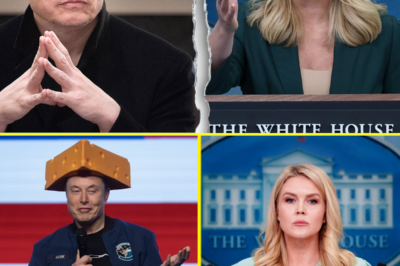 Karoline Leavitt Claps Back at CNN Reporter’s Question About Elon Musk—What She Said on Live TV Shocked the Press Room and Left Twitter Buzzing With Praise for Her Boldness!