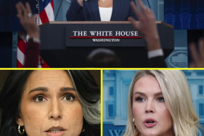 Karoline Leavitt Loses Her Cool with Reporter on Live Mic—But After the Truth Comes Out, Everyone Apologizes for Judging Her Too Soon