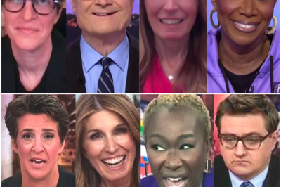 DOGE Faces Explosive Backlash from Everyday Americans: MSNBC Hosts Rachel Maddow, Nicolle Wallace, and Lawrence O’Donnell Join Joy Reid to Unpack the Shocking Resistance—What’s Really Behind the Uprising Against the Digital Currency? Find Out Here!
