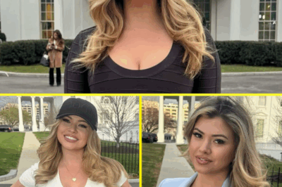 CAREER SHOCKER: White House Reporter Natalie Winters Faces Major Blow—Why Her Meteoric Rise Suddenly Hit a Wall and What’s Really Behind the Stunning Setback That Has Everyone Talking