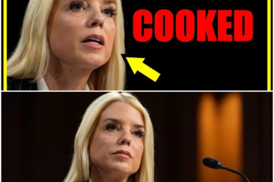 SHOCKING: Pam Bondi Erupts in Explosive Clash with Adam Schiff—“I Can’t Believe You’re Asking Such a Question!” What Sparked This Jaw-Dropping Moment That Left Everyone Speechless? Find Out the Shocking Details Below!