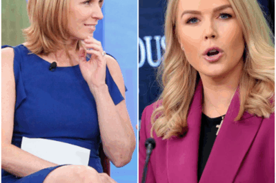 “SHOCKING TV MOMENT: Nicolle Wallace Goes Wild Over Karoline Leavitt’s Sassy Reply—The Explosive Exchange That Left Viewers Stunned!”