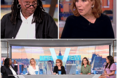 💥 BREAKING: Joy Behar and Whoopi Goldberg EXIT The View After ABC Cancels Contracts Amid ‘Toxic’ Allegations—What Does This Shocking Move Mean for the Show’s Future? Find Out the Full Story Below 👇