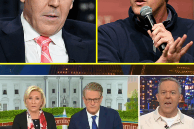Greg Gutfeld calls out Joe Scarborough live on air: ‘Stop lying or I’ll expose everything!’ — fans are stunned by this explosive Fox News moment no one saw coming.