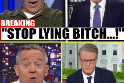 Fox’s Greg Gutfeld sl:am:med Joe Scarborough: “Stop lying, I’m going to exp0se everything”