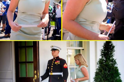 White House Press Secretary Karoline Leavitt’s ‘Way Too Tight’ Dress at a Press Gaggle Causes a Stir