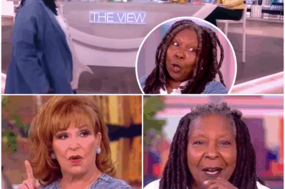 “SHOCKER: The View AXED After Decades on Air—Whoopi Goldberg and Joy Behar’s Exit Signals ABC’s Bold New Direction! What’s Really Happening Behind the Scenes? The Shocking Reasons Behind the Cancellation of The View and What This Means for ABC’s Future Programming!”