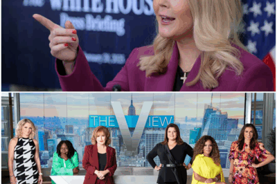 BREAKING: Karoline Leavitt Calls for BOYCOTT of ‘The View’ LIVE on Air—Fans Go WILD, Flooding Social Media with Praise: “Finally Someone Said It!” What Sparked This Explosive Demand? Find Out Now!