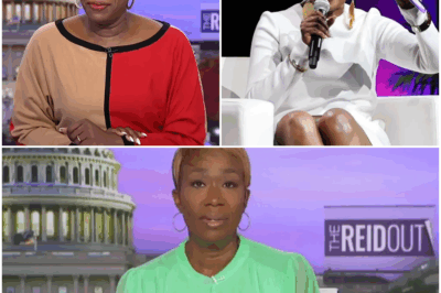 MSNBC in Turmoil: Fans Spiral as Rebecca Kutler Struggles to Reach Joy Reid After Brutal Firing—Wild Rumors Erupt!