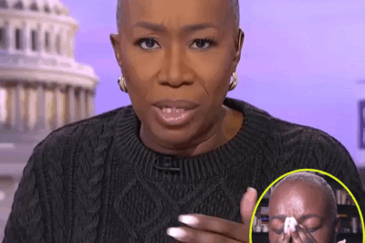 “MSNBC Fans Spark Bizarre Rumors as Rebecca Kutler Fails to Reach Joy Reid After Dismissal—What’s Really Going On Behind the Scenes? The Shocking Truth About the Network’s Tumultuous Move That Has Everyone Talking!”