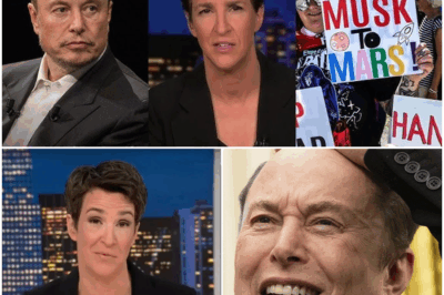 “EXPLOSIVE BREAKDOWN: Rachel Maddow Shatters Elon Musk’s Narrative on LIVE TV—Polling Reveals Brutal Truth Behind Tesla’s Sudden Collapse! As Profits Plummet, Musk’s Latest Excuses Torn Apart in Maddow’s Unforgettable Segment—Washington, Wall Street, and Silicon Valley in Shock! What Damaging Poll Results Did Maddow Reveal That Could Change Everything? How Did Musk’s Conspiracy Theory Backfire So Badly? Uncover the Stunning Truth Behind Tesla’s Crisis and the Billionaire CEO’s Public Meltdown—The Inside Story Everyone Is Talking About!”
