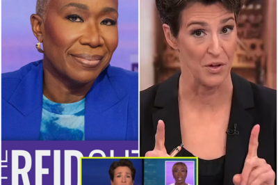 BREAKING: Rachel Maddow Calls NBC Executives “Bastards” Over Joy Reid’s Firing—Uncovers Shocking Truth Behind the Decision and Reveals What Really Led to Her Departure