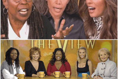 💥 BREAKING: The View Abruptly Goes on Hiatus—Fans Scramble for Answers as Rumors Swirl About the Future of the Hosts! In an unexpected move, The View has gone on a sudden hiatus, leaving fans in confusion and speculation. With no clear explanation, viewers are left wondering if the hosts will ever return. What caused this sudden break, and why has there been no official statement from ABC? Fans are scrambling for answers as rumors swirl about potential changes. Get the shocking details behind the hiatus and what’s next for the show below 👇
