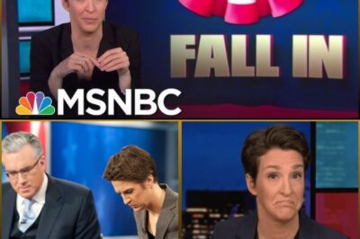 THE FALL OF MADDOW? Explosive MSNBC Revelations Could Mark the End of an Era—What’s Really Going On Behind the Scenes? 😱