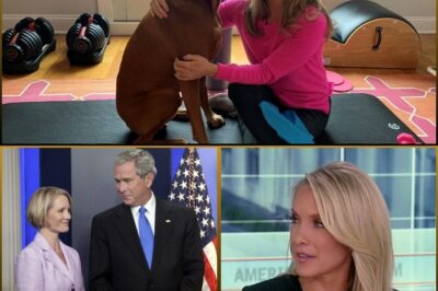 Dana Perino’s sudden disappearance from “America’s Newsroom” and “The Five” 😱