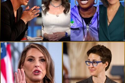 DRAMA ALERT: Rachel Maddow TAKES DOWN MSNBC Executives, Revealing Their Involvement in the Network’s Viewership Collapse—You Won’t Believe the SHOCKING Evidence She’s Exposed! 😱