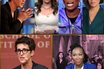 MASSIVE TURNAROUND at MSNBC: Rachel Maddow and Joy Reid Pay the Price as Their Prime-Time Shows Face SHOCKING Layoffs! 😱