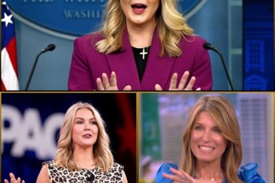 🚨 WHAT YOU DIDN’T KNOW: Karoline Leavitt’s Unexpected Rage Toward Nicolle Wallace—But When the Reason Is Exposed, It’s Clear Why!