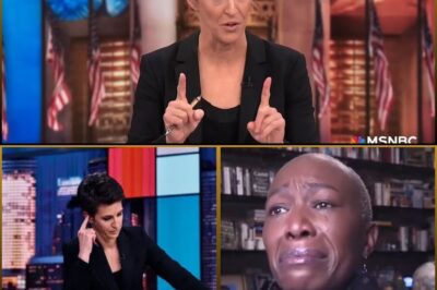 MSNBC IN CRISIS: Rachel Maddow Drops Damning Proof That Network Bosses Are Behind Plummeting Ratings 😱