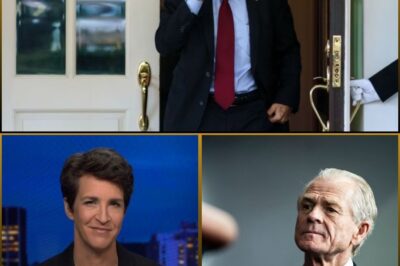RACHEL MADDOW TAKES DOWN PETER NAVARRO: Exposing the Fake ‘Expert’ Behind Trump’s Tariff Scheme 😱