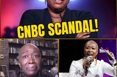 Joy Reid Breaks Her Silence After Getting FIRED from CNBC 😱