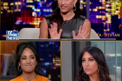 FOX NEWS DRAMA: Emily Compagno’s Explosive Confrontation With a Co-Worker Caught on Camera 😱