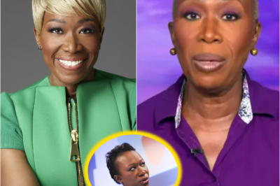 **Joy Reid’s Explosive MSNBC Exit Sparks Scandal: Did She Leak Damning Misconduct Evidence, and Is Her Tearful Farewell Hiding a Bigger Fight Brewing Behind the Scenes?**