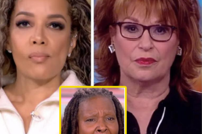‘The View’ Hosts In Hot Water After