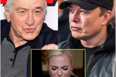 “Hollywood Icon Robert De Niro’s