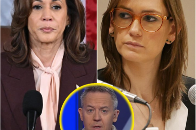 EXCLUSIVE: Kamala Harris’s Price Gouging Plan Stirs Debate – Is It a Game-Changer or Just Another Empty Promise?
