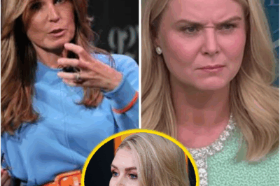 “Nicolle Wallace Just Called Out Karoline Leavitt on National TV 😱 — ‘Tragically Uninformed or Lying?’ 💥🔥 The Shocking Moment That’s Dividing America Over Tariffs, Truth, and Who’s Really Paying the Price
