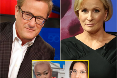 Despite Dramatic Changes at MSNBC, Two of Its Biggest Stars, Joe Scarborough and Mika Brzezinski, Defy the Odds and Keep Their Positions Amidst the Shakeup