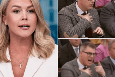 Reporter FIRED After Live TV Clash With Karoline Leavitt—Here’s What Sparked the Explosive Showdown That Has America Talking
