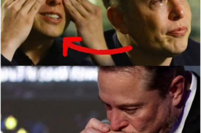 Breaking News: Elon Musk says he’s