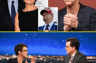 EXCLUSIVE: MSNBC Faces Brutal Shakeup—Only TWO Major Stars Survive Mass Firings After Ratings Collapse! Inside the Bloodbath That’s Rocking the Network and the Secret Deal That Saved Their Jobs!
