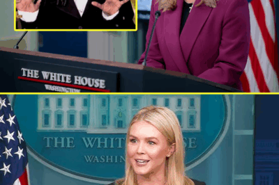 Karoline Leavitt DESTROYS Whoopi Goldberg in Viral Showdown—The Savage Takedown That Left ‘The View’ in Total Silence and Viewers Laughing Hysterically! What She Said Might Be the Funniest TV Moment Ever!
