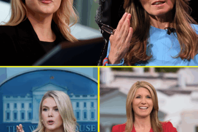 LIVE TV EXPLOSION: Nicolle Wallace LOSES CONTROL After Karoline Leavitt’s Blunt Retort—Audience in SHOCK as MSNBC Host ERUPTS in On-Air Rant! The Unexpected Response That Triggered Chaos and Sent Viewers Into a Frenzy—Is This the Most Unhinged Moment Yet?